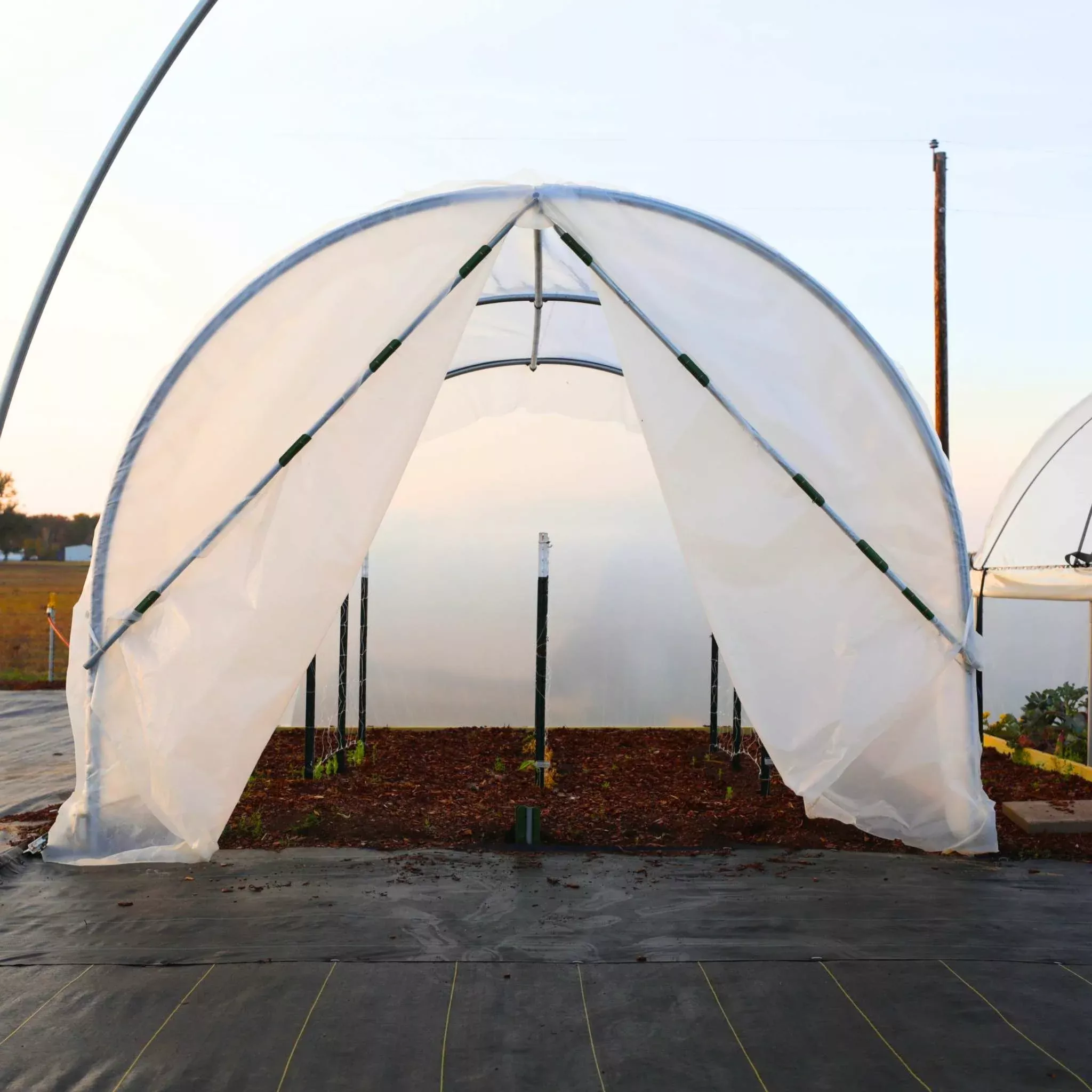 10′ x 12′ Backyard Greenhouse Kit with Scissor Door & Roll-Up Sides