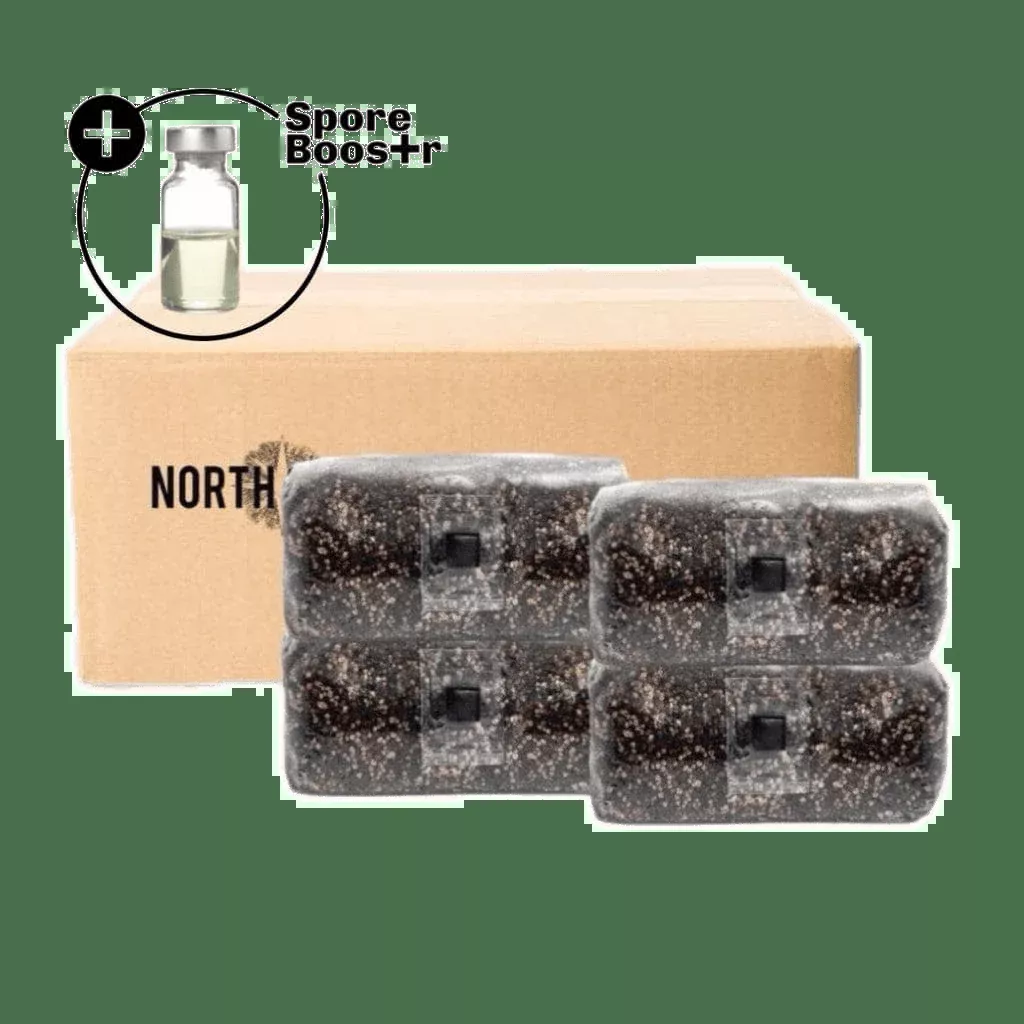 4-pack ‘ShroomTek’ + Spore Boostr All-in-One Mushroom Grow Bag