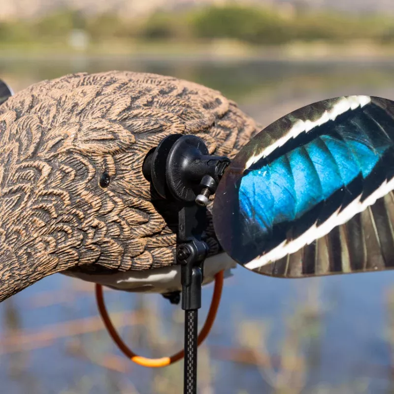Animator V2 for Lucky Duck Decoys