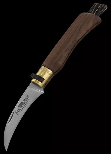 Antonini Old Bear Mushroom knife Walnut Medium