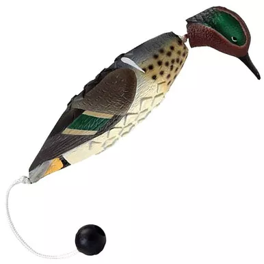AVERY 02010 EZ BIRD GREEN WINGED TEAL