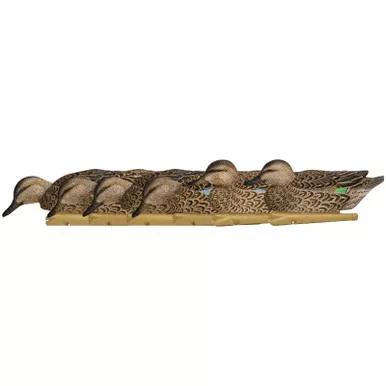 AVIAN-X AVX8079 TOPFLIGHT EARLY SEASON TEAL 6 PACK