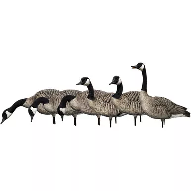 Avian X Axp Honkers Fusion Pack Canada Geese