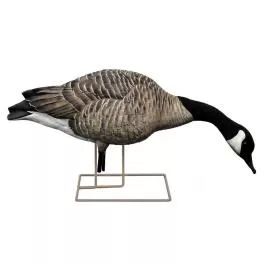 Avian-X AXP Honkers: Fusion Pack