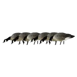 Avian-X AXP Lessers: Feeder Pack