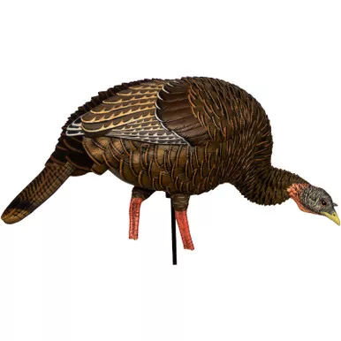 Avian-X HDR Feeding Hen Turkey Decoy