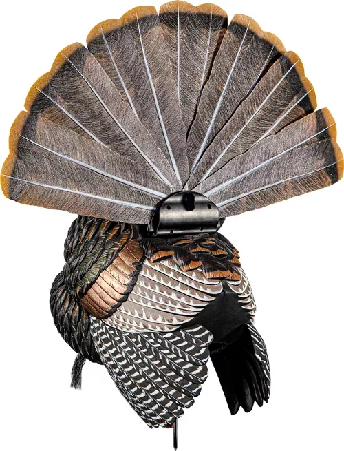Avian X Hdr Strutter Decoy