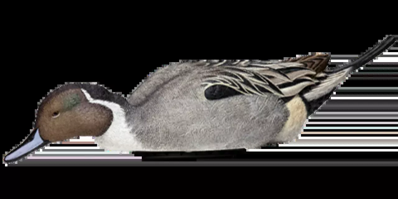 Avian X Power Shaker Pintail Surface Feeder Duck Decoy