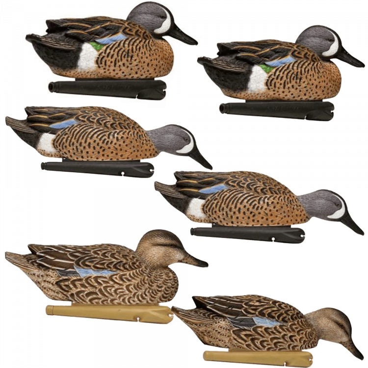 Avian-X Topflight Blue-Winged Teal Decoys