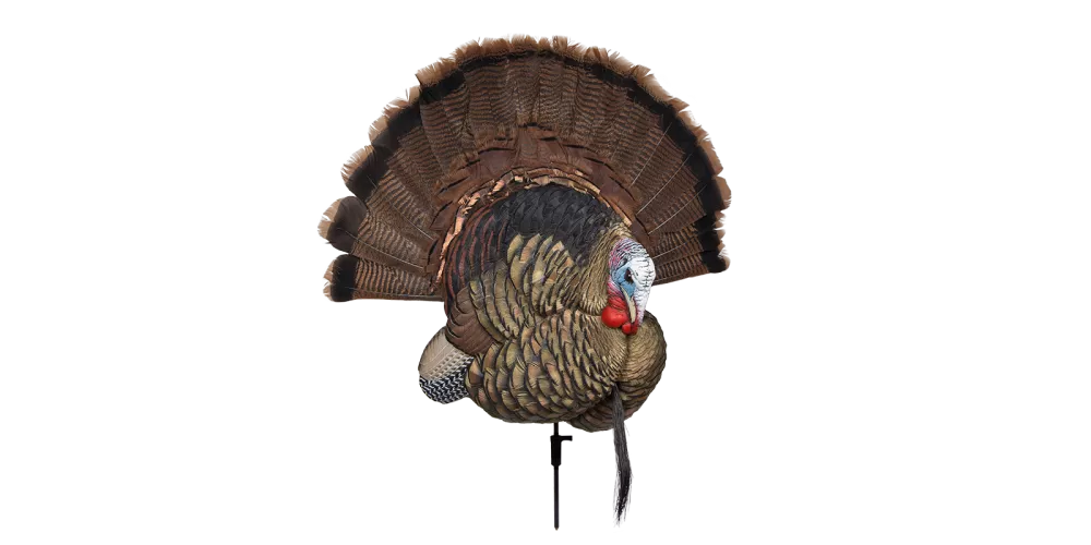 Avian-X Trophy Tom Turkey Decoy #AVX8021