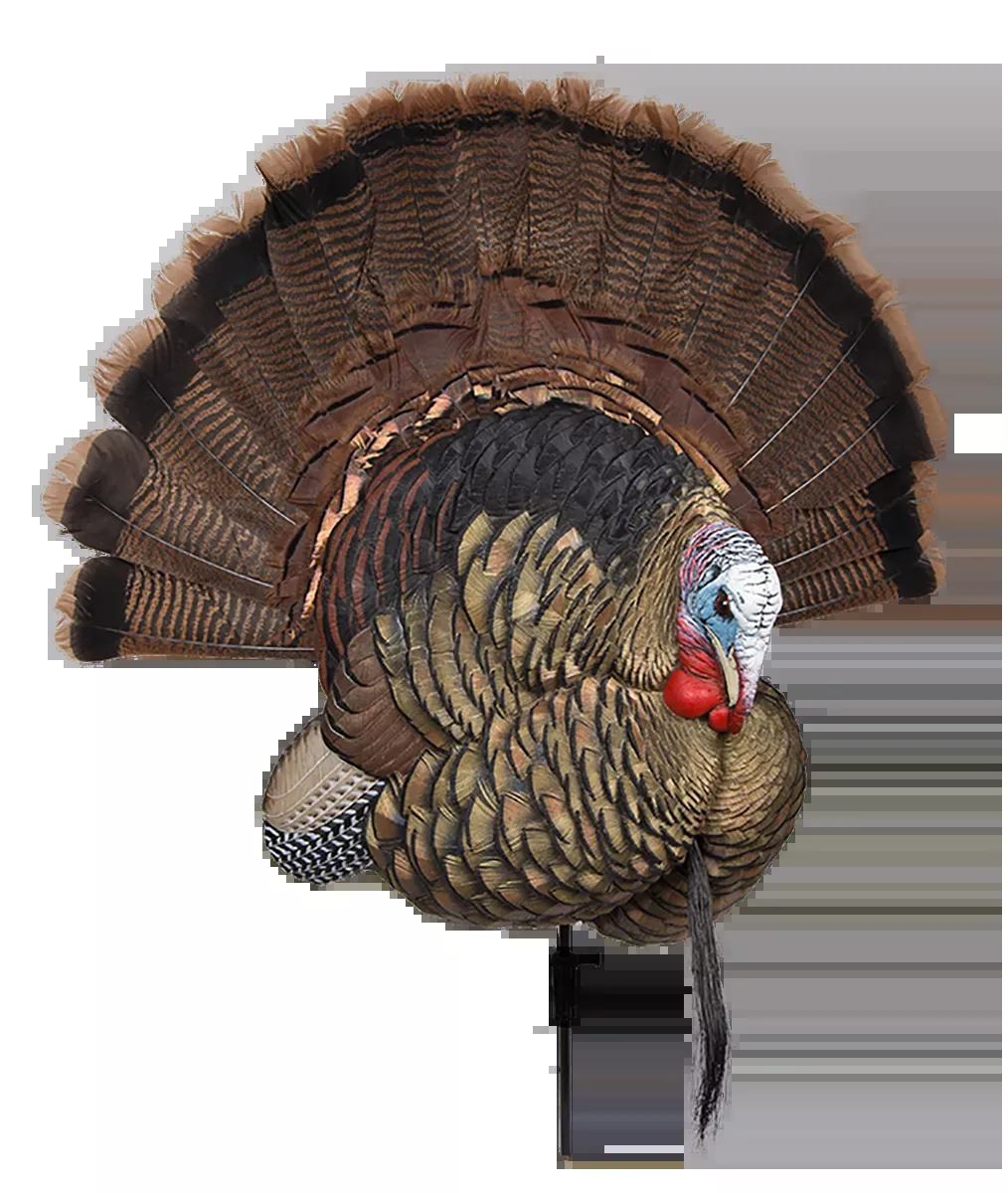 Avian X Trophy Tom Turkey Decoy – No Fan
