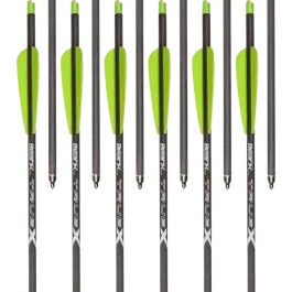 Bear Archery TrueX Crossbow Bolts - 20" - 6 Arrows