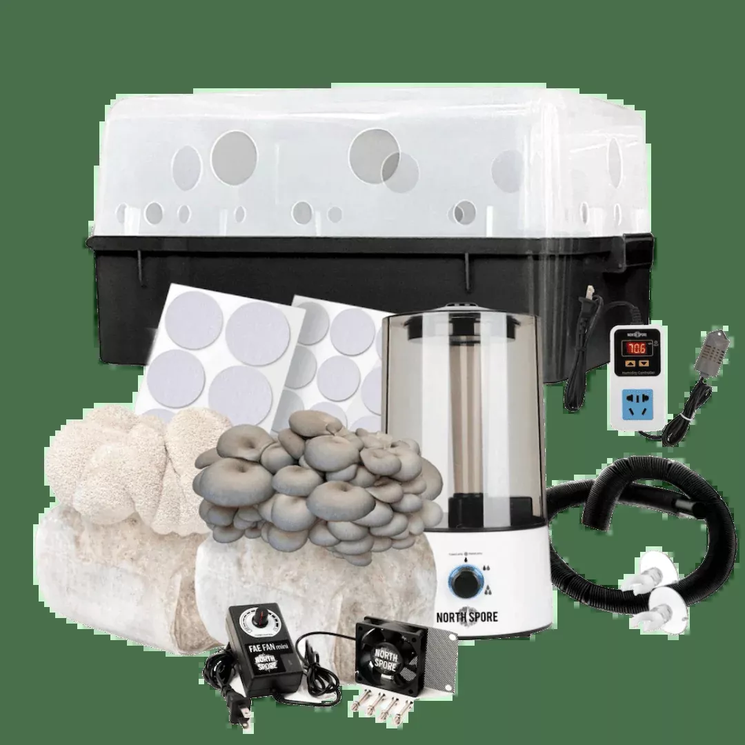 Beginner Automated ‘Boomr Bin’ + Fruiting Blocks Monotub Mushroom Grow Kit