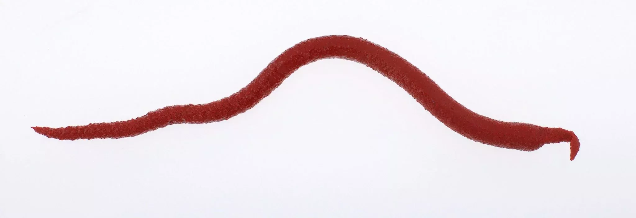 Berkley Gulp! Saltwater Extruded Bloodworm
