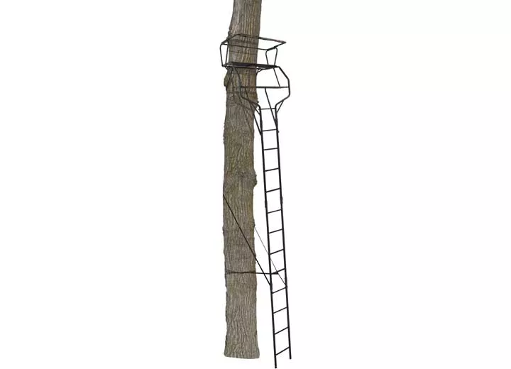 Big Game Guardian XLT – 2 Man – 18′ Ladderstand• BGM-LS4860