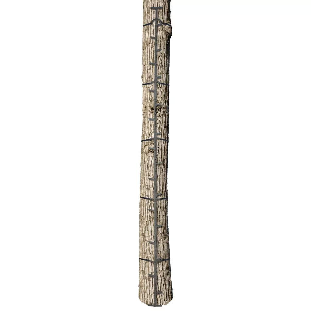 Big Game The Quick-stick Climbing Stick 20 Ft.