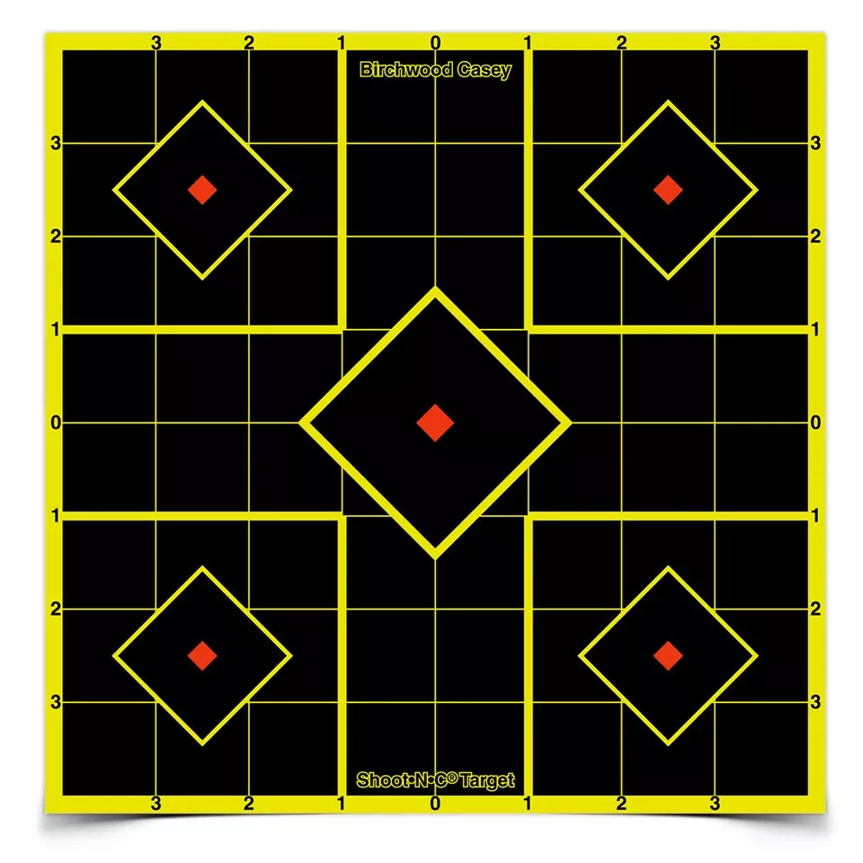Birchwood Casey Shoot•n•c 8″ Sight-in, 6 Targets, 36 Pasters