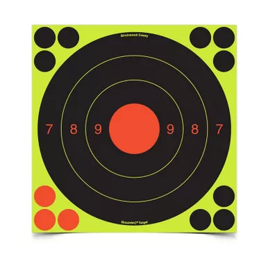 Birchwood CaseyShoot•N•C 20CM UIT