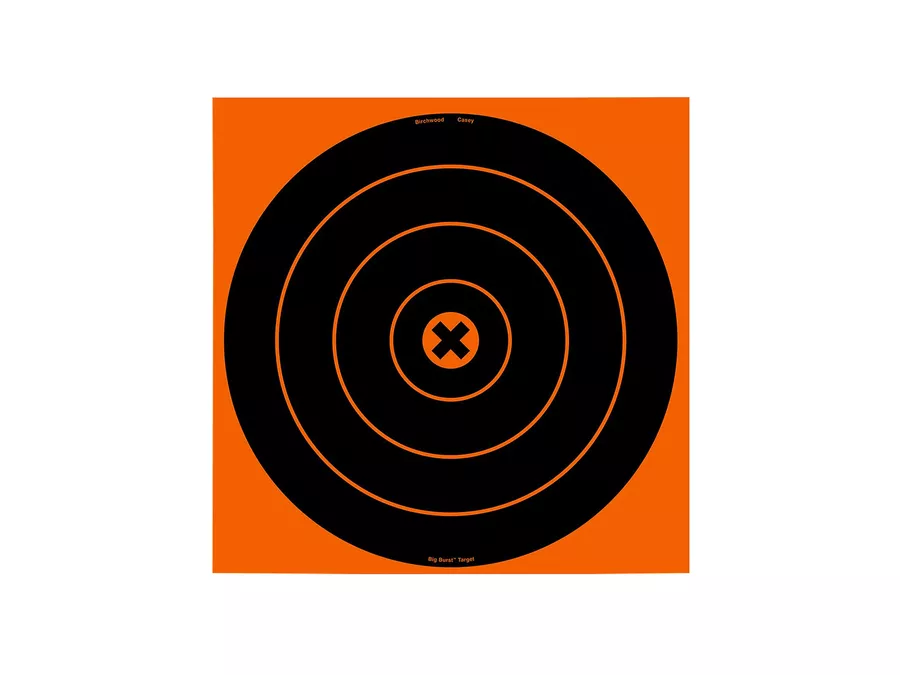 BirchwoodBig Burst Revealing Target, Black/Orange, 3
