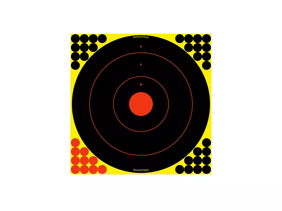 BirchwoodShoot-N-C Reactive Target 17.25" Bullseye