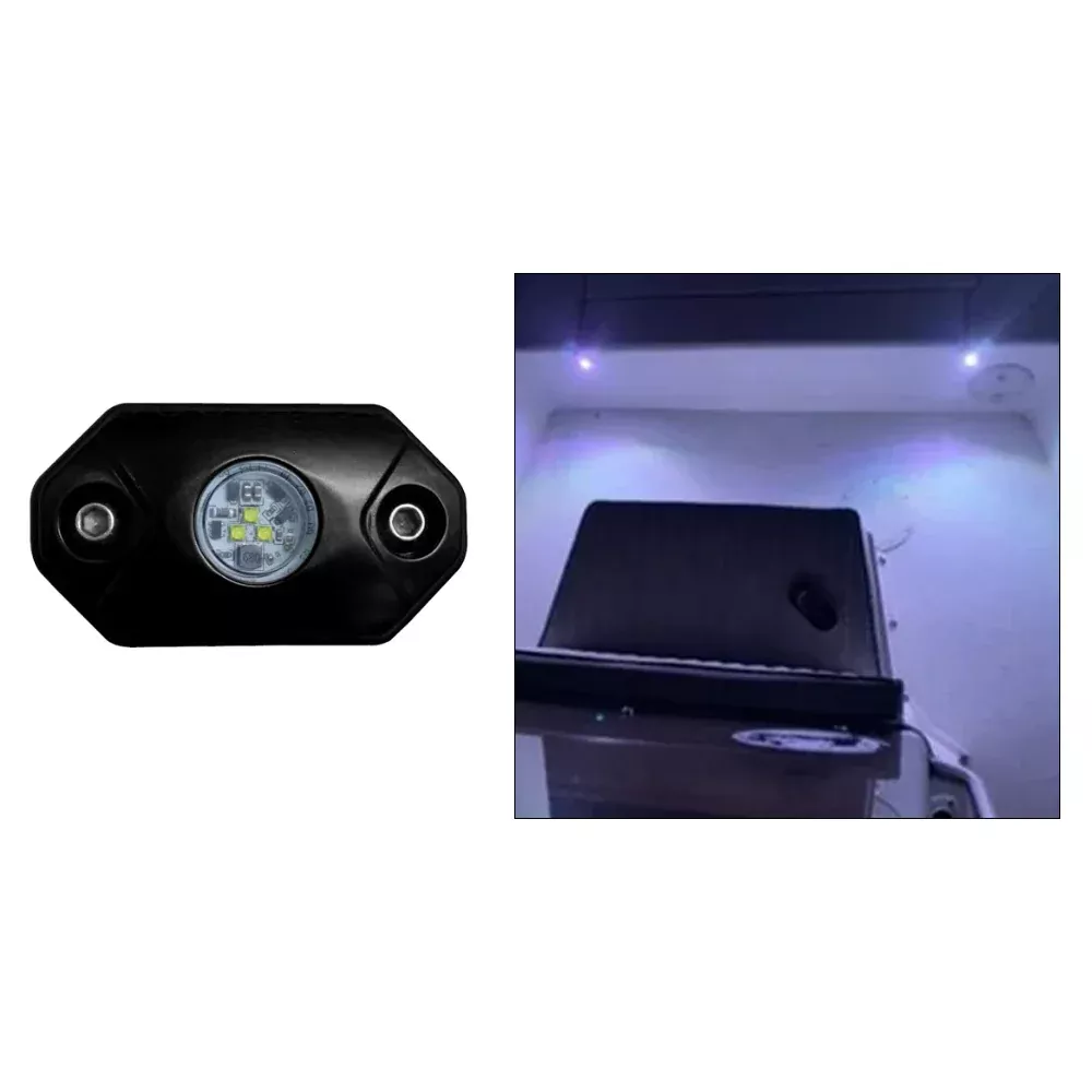 Black Oak Rock Accent Light – White – Black Housing [RL-W]
