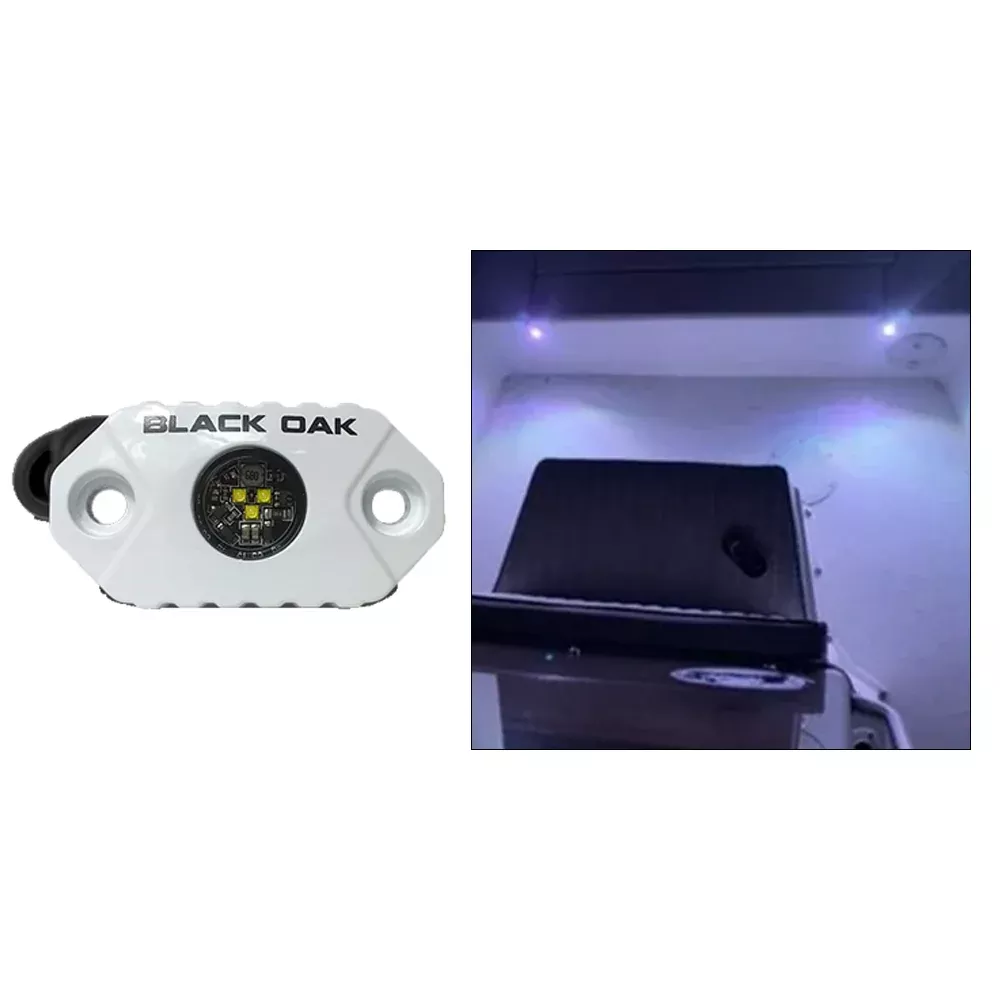Black Oak Rock Accent Light – White LEDs – White Housing [MAL-W]