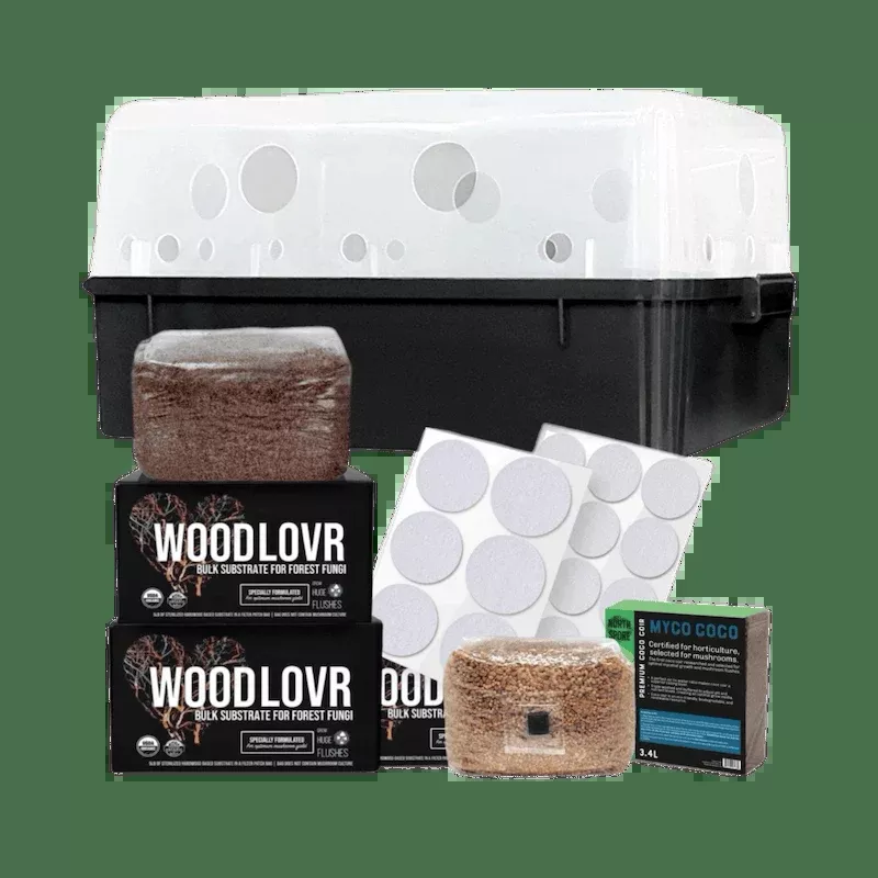 ‘Boomr Bin’ Wood-Loving Monotub Mushroom Grow Kit