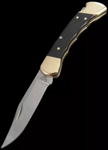 Buck 110 Folding Hunter Finger Groove