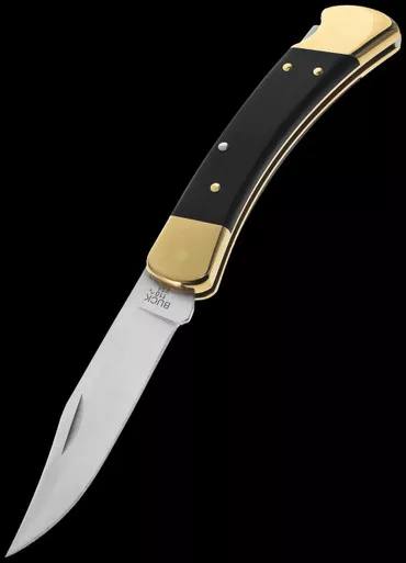 Buck 110 Hunter Folding Knife with Nylon Sheath