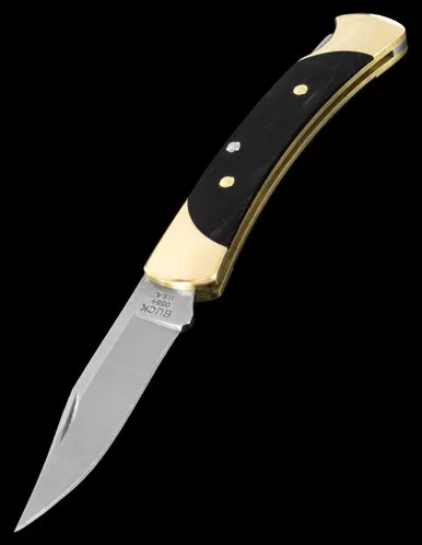 Buck Folding Hunter 55 Folding Knife