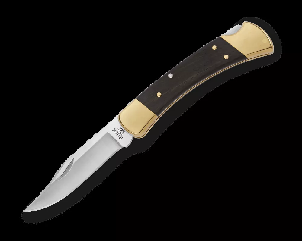 Buck Knives 110 Folding Hunter Knife #9210