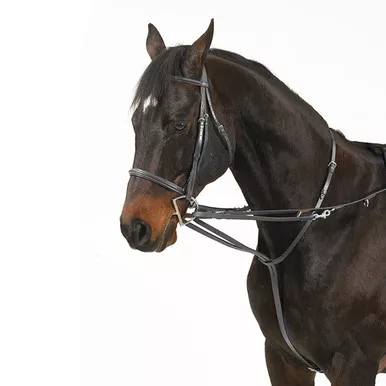 CAMELOT German Martingale Rein (407314)