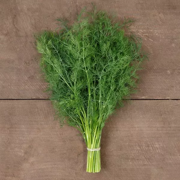 Ceres Dill