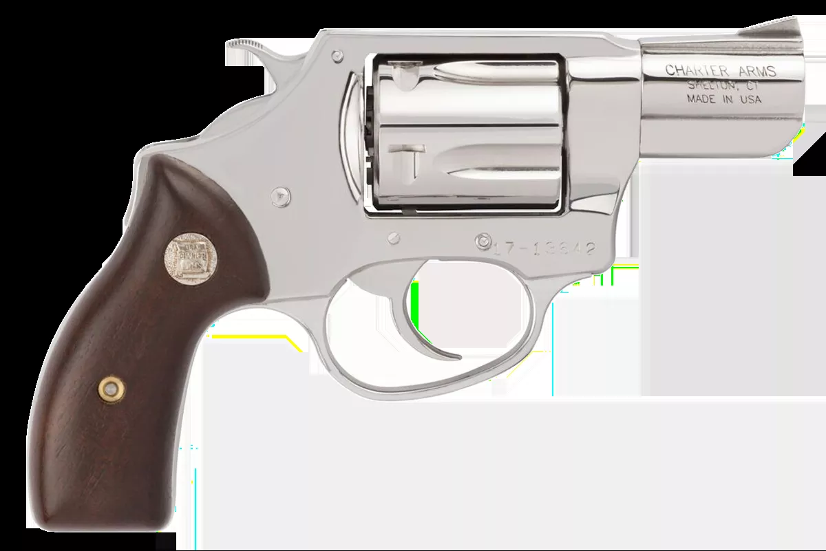 Charter Arms 73829 Undercover38 Special Caliber with 2" Barrel, 5rd Capacity Cylinder, Overall High Polished Finish Stainless Steel & Wood Grip