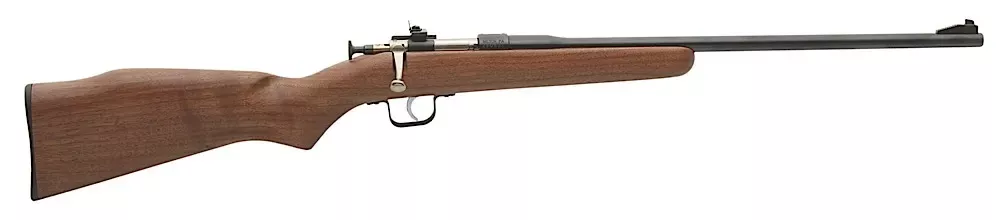 Chipmunk Youth 22 Long Rifle 16.12″ 1rd Blued