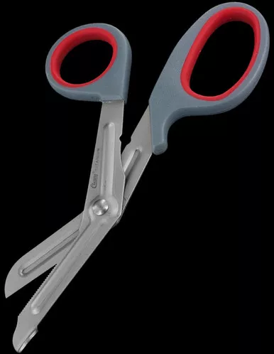Clauss Professional Snips