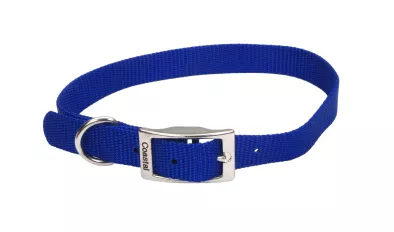 Coastal Pet 18″ Single-ply Nylon Dog Collar #00601BLU18