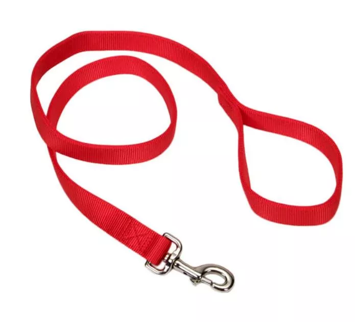 Coastal Pet Double-ply Nylon Dog Leash 6′