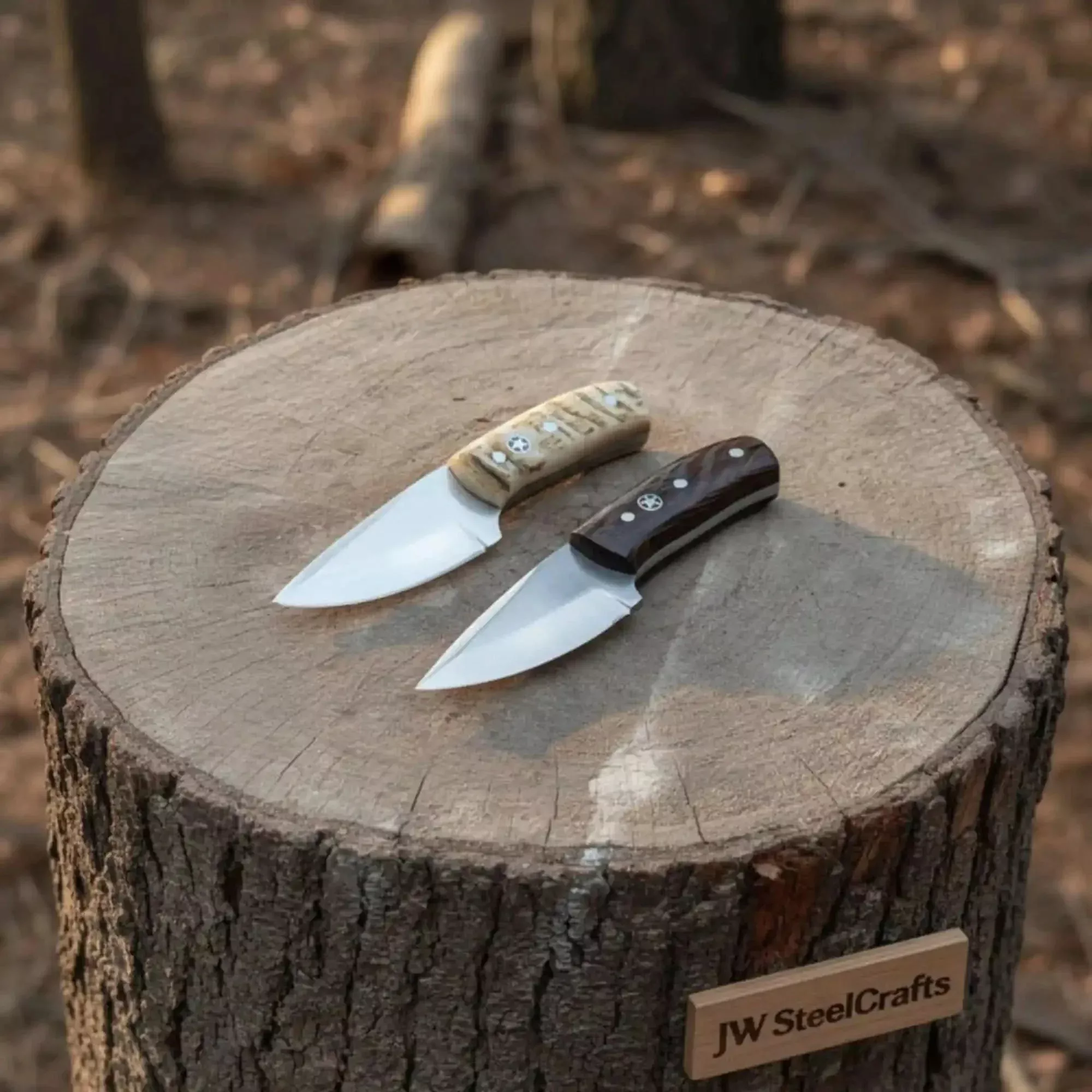 Compact Outdoor Knife Stainless Steel BladeRam Horn or Wengi Wood Handle
