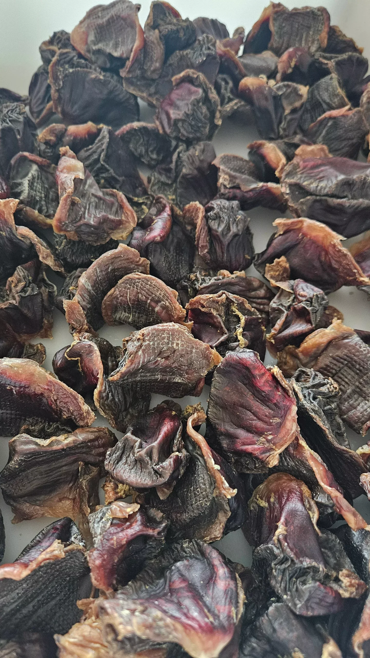 Dehydrated Turkey Gizzards for Cats & Dogs — 100% Single Ingredient | Raw Instincts Florida