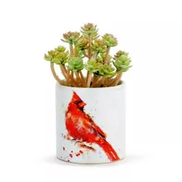 Demdaco Dean Crouser Succulent - 3.5"w x 3.5"d x 8"h - Cardinal
