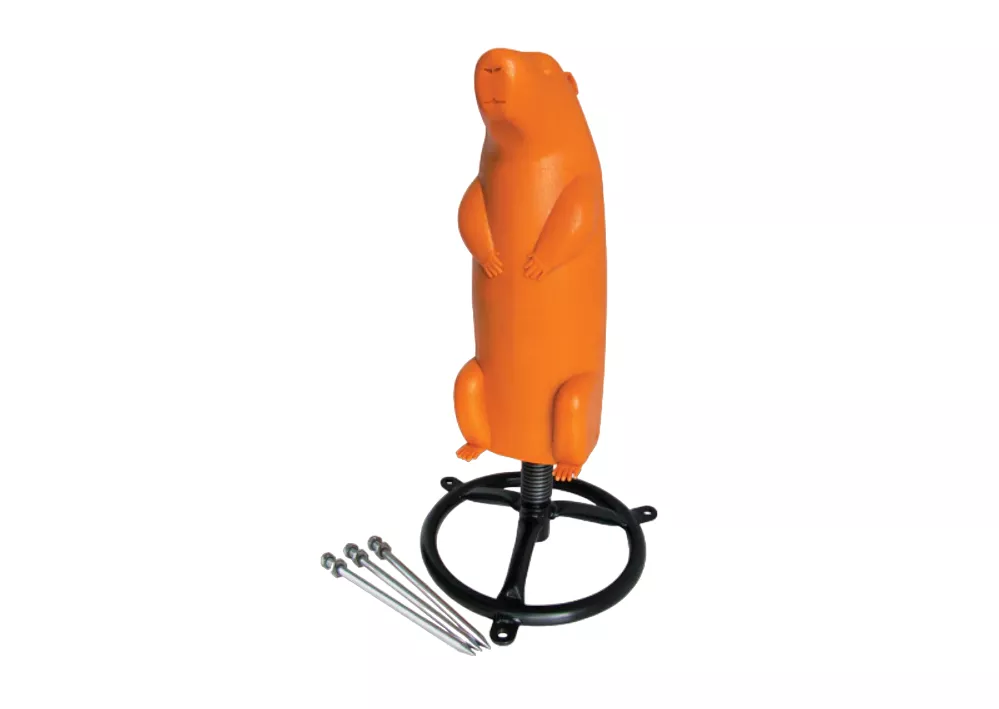 Do All3D Prairie Dog