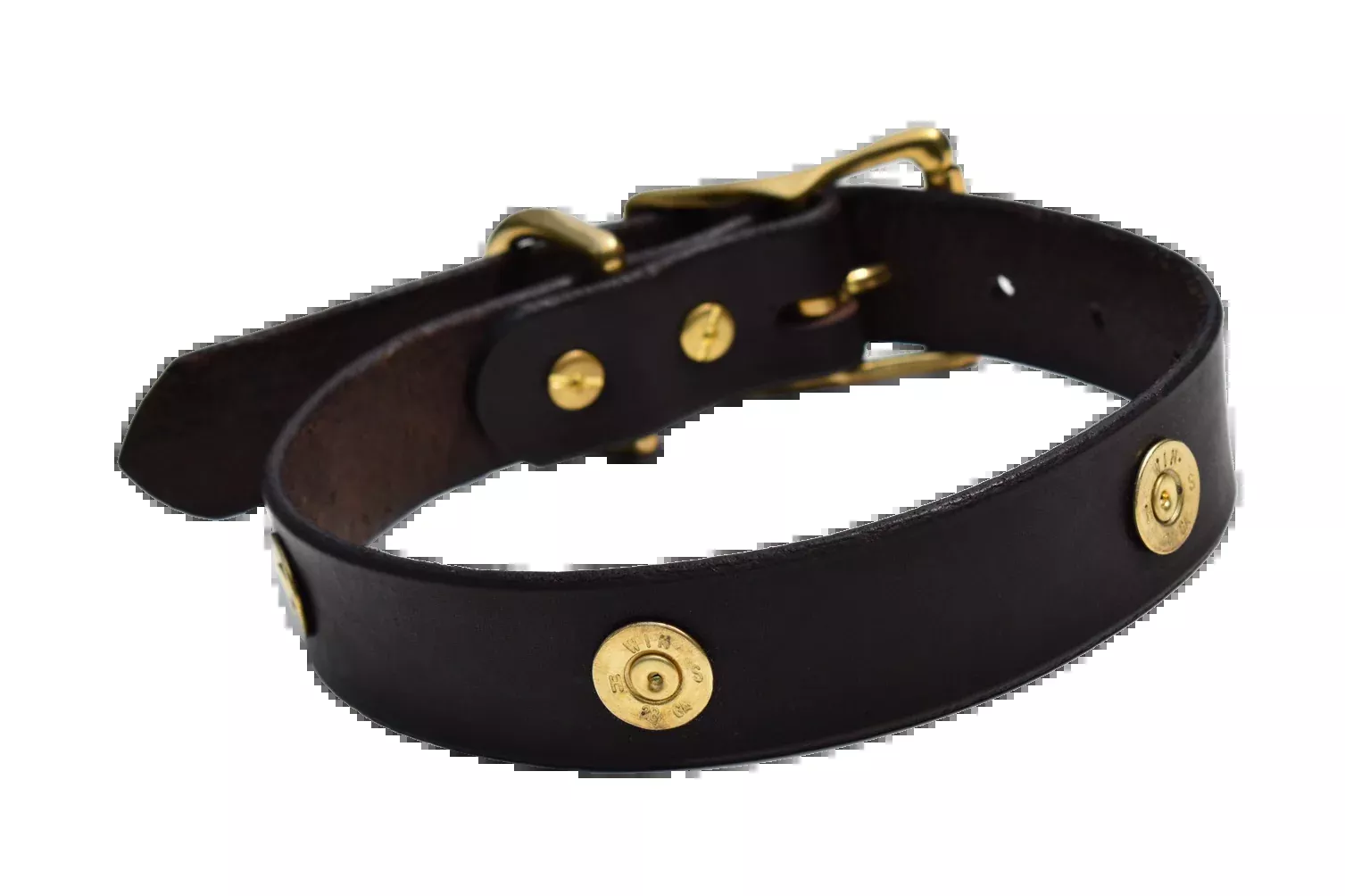 Dog Collar Decorated With Shotgun Shells
