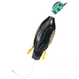Dokken Dead Fowl Wood Duck