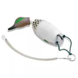 Dokken Greenwing Teal Diver