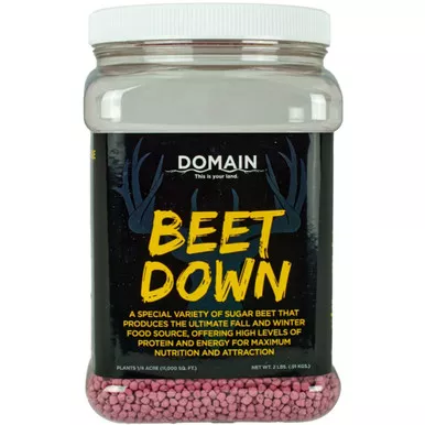 Domain Beet Down Seed 1/4 Acre