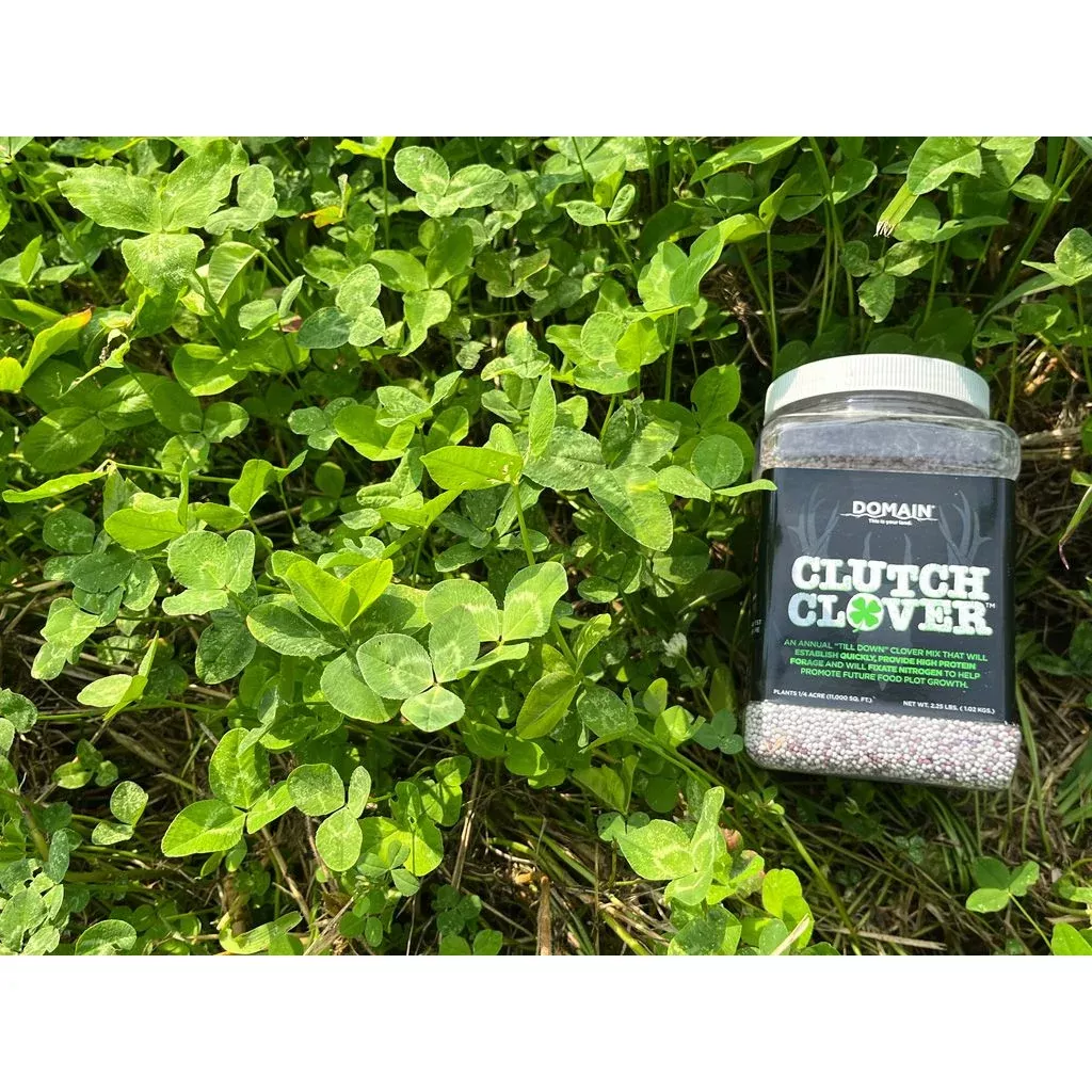 Domain Clutch Clover Seed – 1/4 Acre