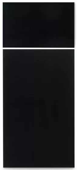 Dometic Upper and Lower Door Panels for Dometic DM2872 and DM2882 Model Refrigerators, Black• 3106863.313G