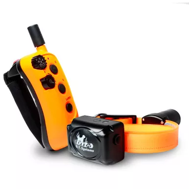 DT SYSTEMS RAPT 1450 Remote Upland Beeper Trainer (RAPT1450)
