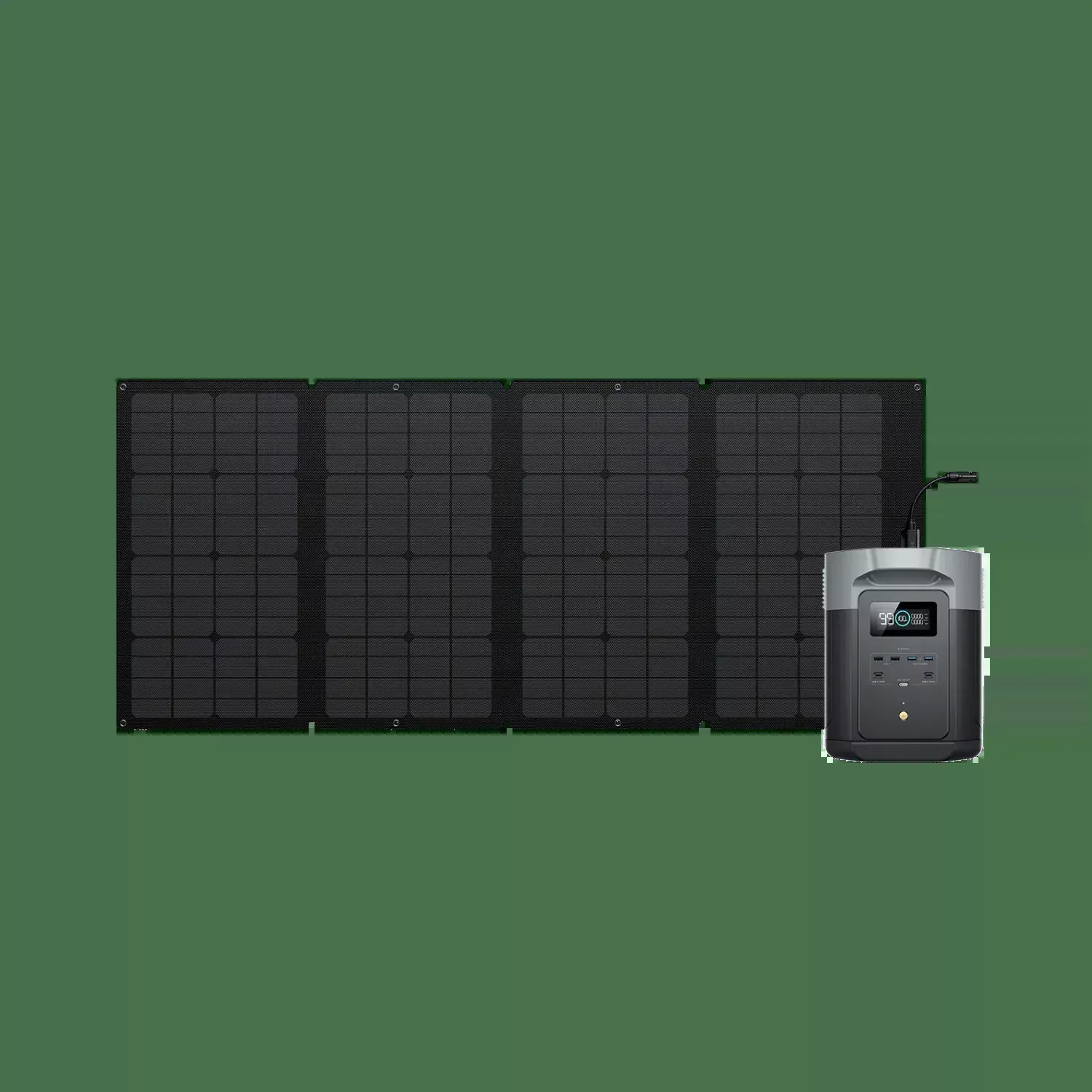 EcoFlow DELTA 2 Max + 160W Solar panel
